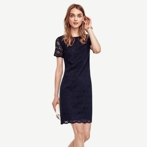 Ann Taylor Mosaic Lace Shift Dress - Navy Blue